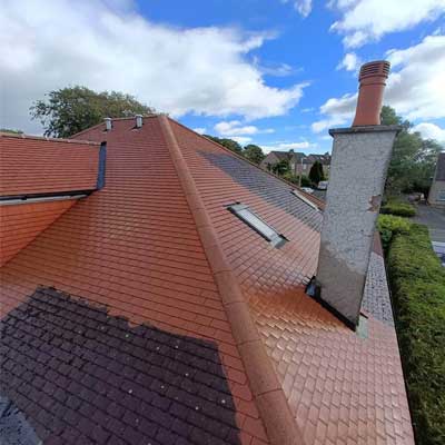 roof algae removal