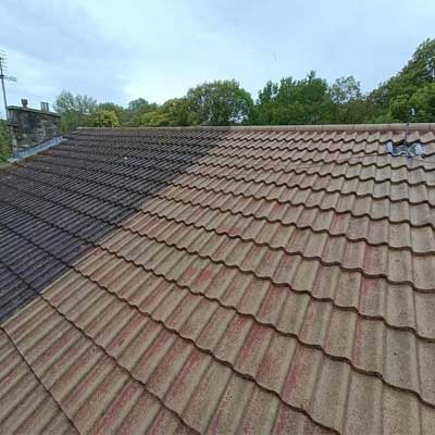 roof moss removal